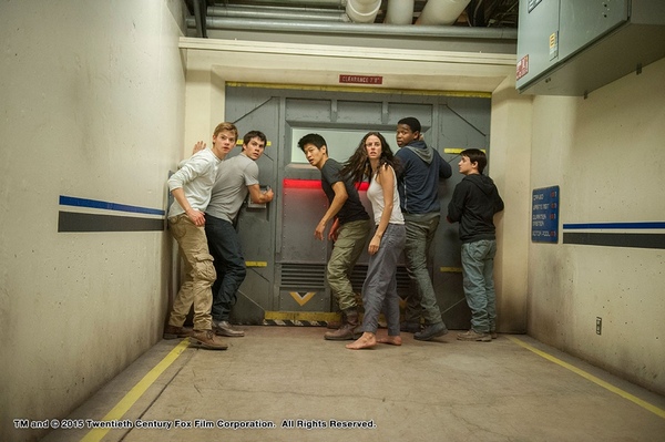 Maze Runner  (1)