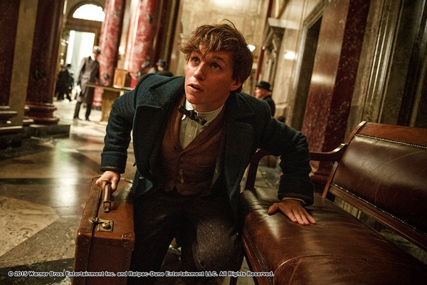 Fantastic Beasts  (1)