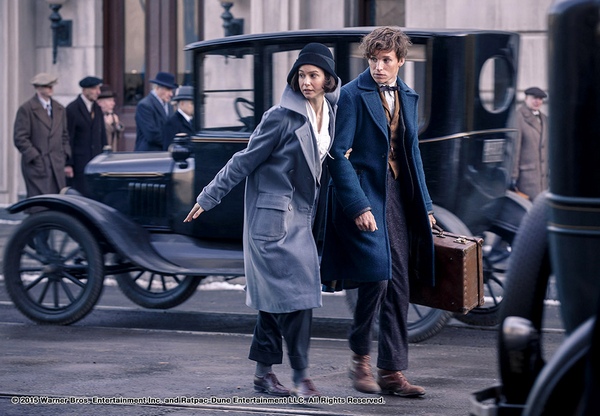 Fantastic Beasts  (6)