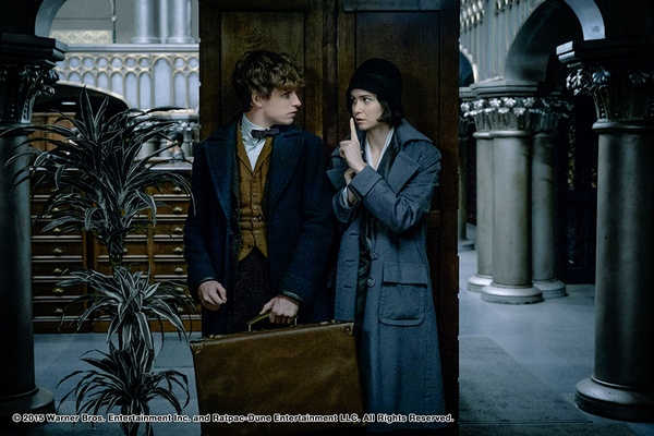 Fantastic Beasts and Where to Find Them (2)