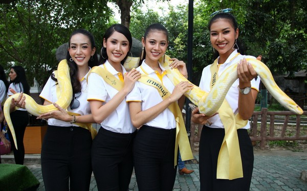 missgrandthailand (1)