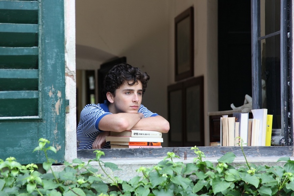 Call Me by Your Name (2)